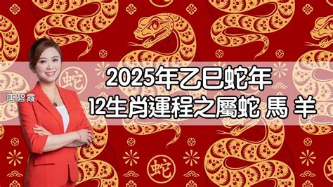 蛇年運程|麥玲玲2025蛇年運程｜12生肖財運+愛情總運勢全面睇